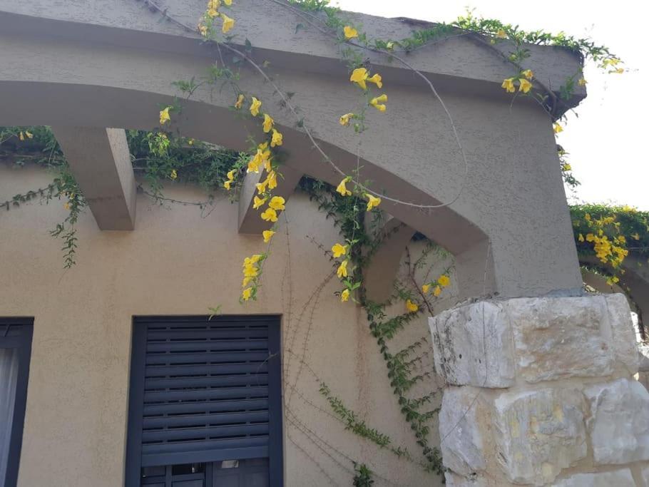 Hadar Rest & Relax Appartement Kefar Hittim Buitenkant foto